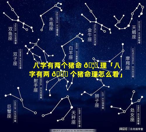 八字有两个猪命 🦊 理「八字有两 🐛 个猪命理怎么看」